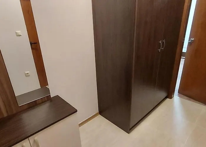 студио ервина