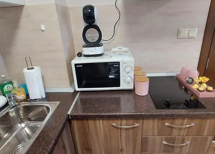 Апартаменты студио ервина *