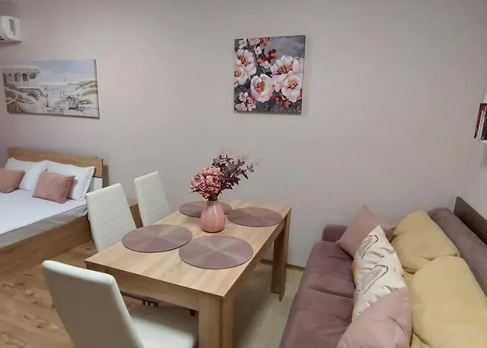 студио ервина * Равда