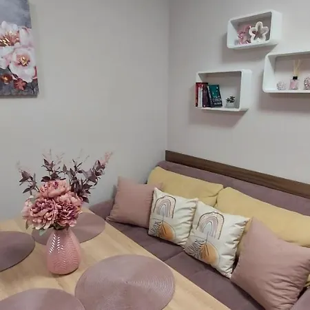 студио ервина Ravda