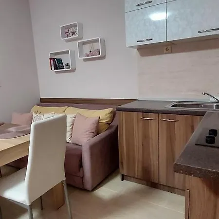 Apartment студио ервина Ravda
