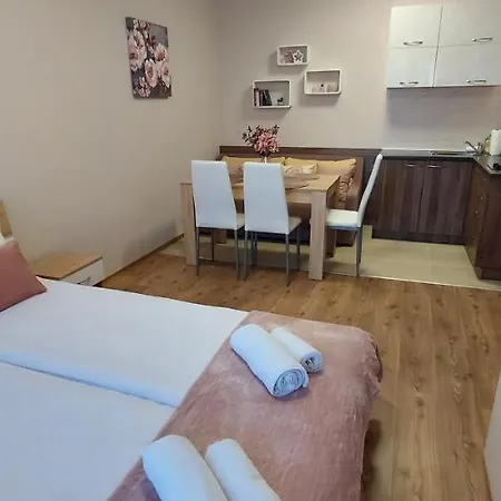 Apartment студио ервина Ravda