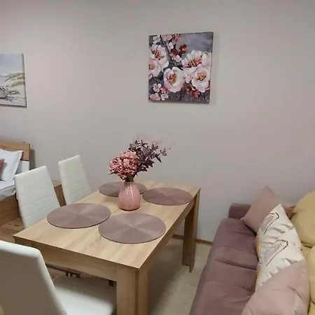 студио ервина * Ravda