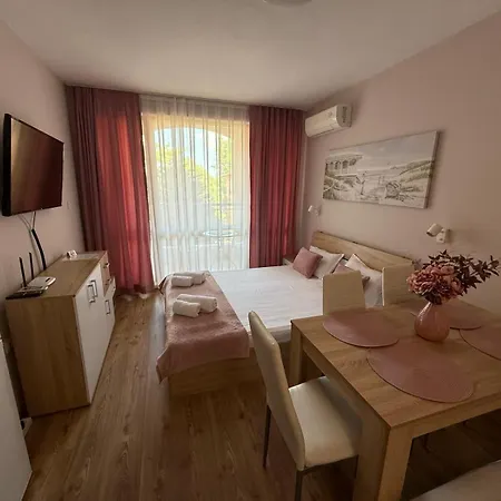 студио ервина *