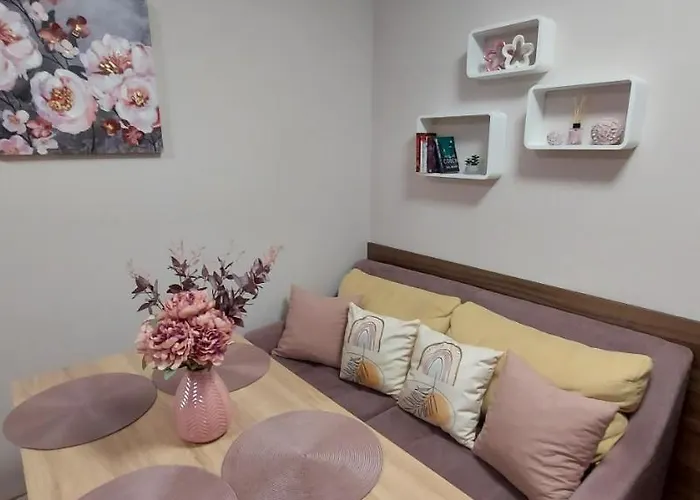 студио ервина Равда